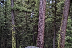 PXL_20220612_022848931