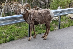 PXL_20220615_215408372