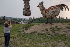 PXL_20220702_020021313