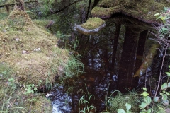 PXL_20220811_000551963