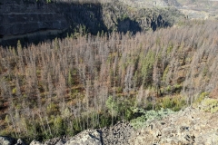 PXL_20220902_174859134